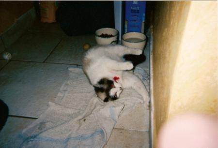 ony